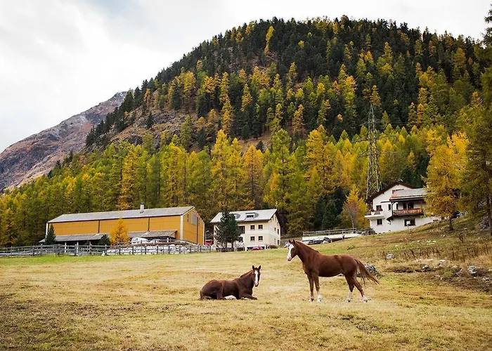 Appartement Chesa Formel - Stalla Engiadina By Interhome Pontresina